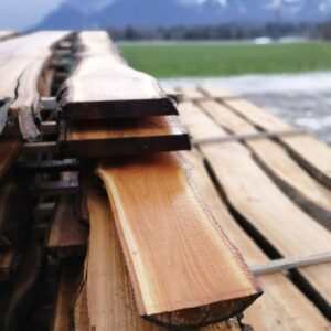 Holzstapel bei Leikermoser Holz in Wals
