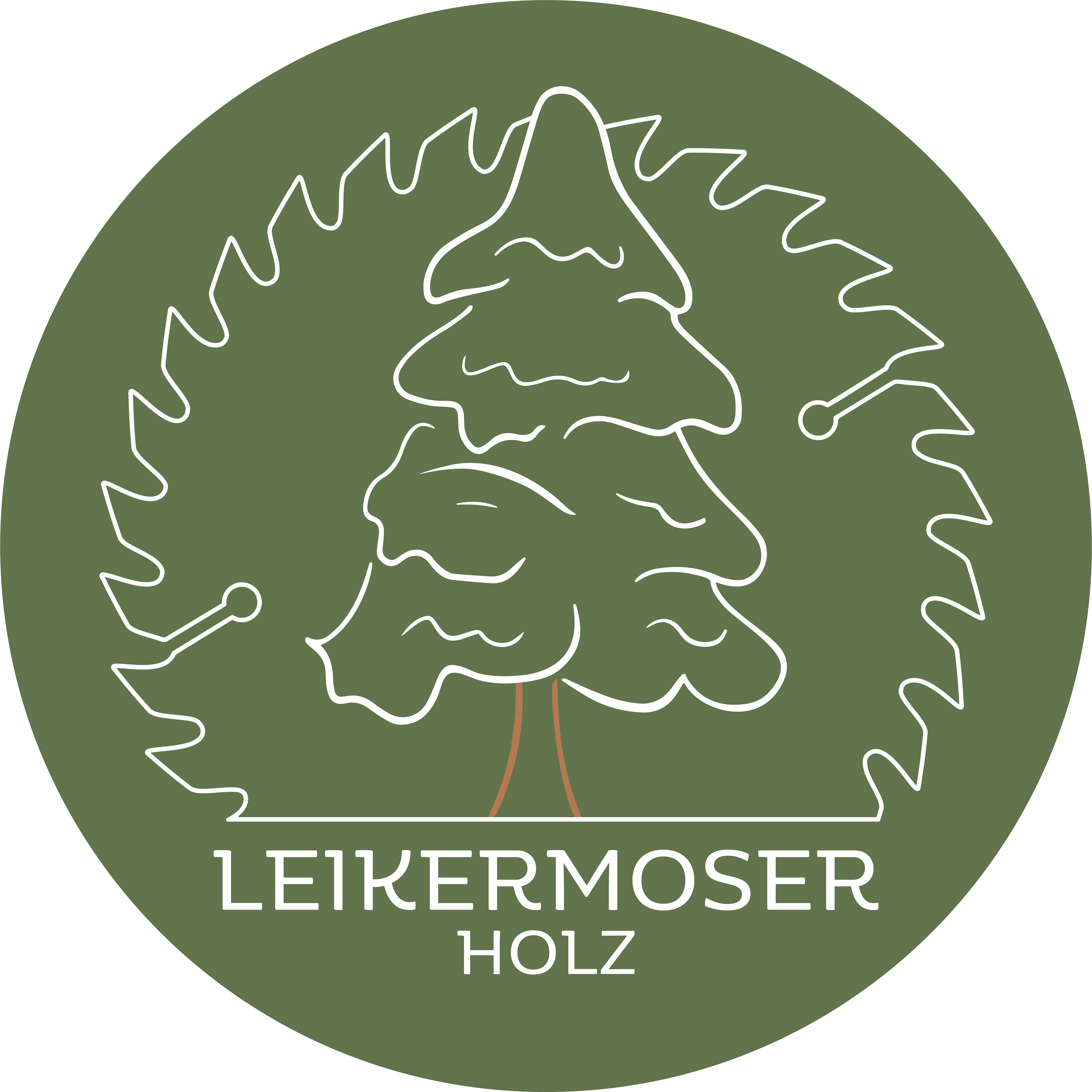 Logo Leikermoser Holz in Wals/Viehhausen