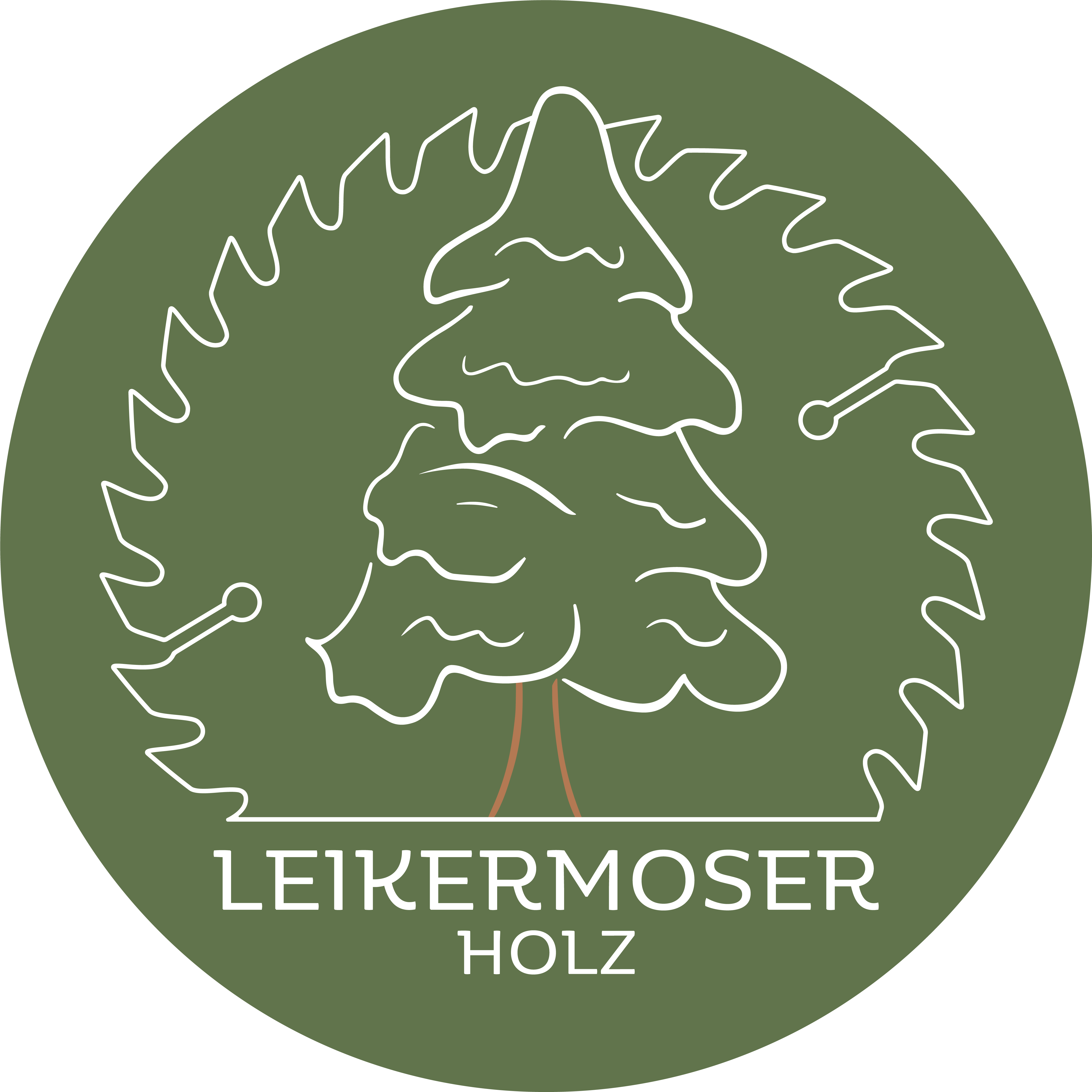 Logo Leikermoser Holz in Wals/Viehhausen